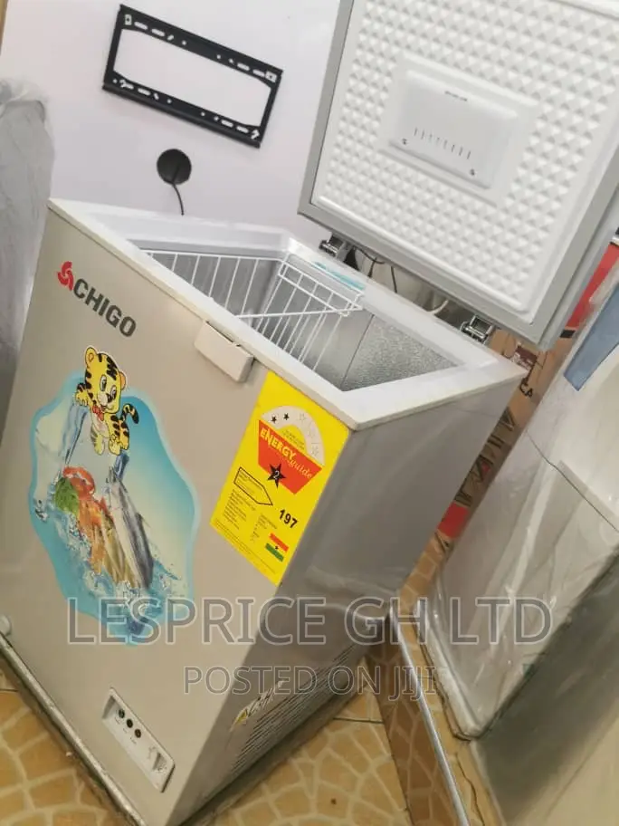 High Quality Chigo 93L Freezer