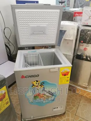 Chigo 93L High Quality Chest Freezer
