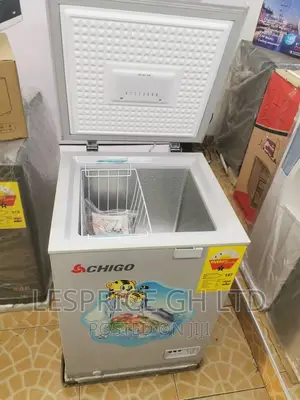 Chigo 93L Mini Freezer