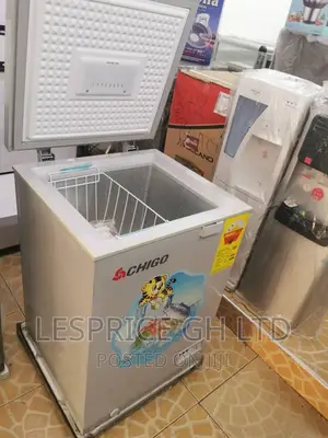 The Best. Chigo 93L Freezer