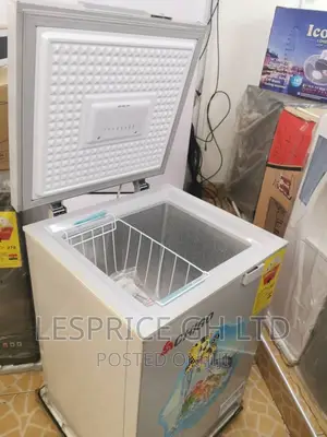 Chigo 93L Chest Freezer the Best Brand