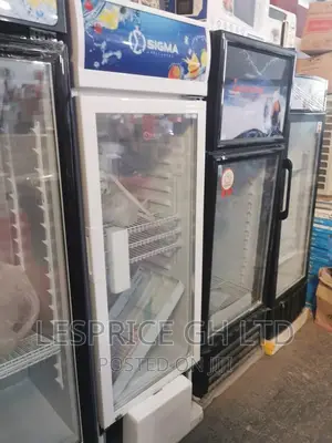 Good Standard Sigma 243L Display Fridge