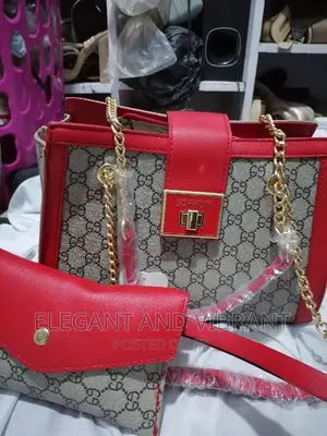 Beautiful Design Bag Set