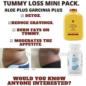Best Flat Tummy Products