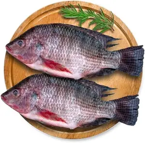 Tilapia Fresh Food Available
