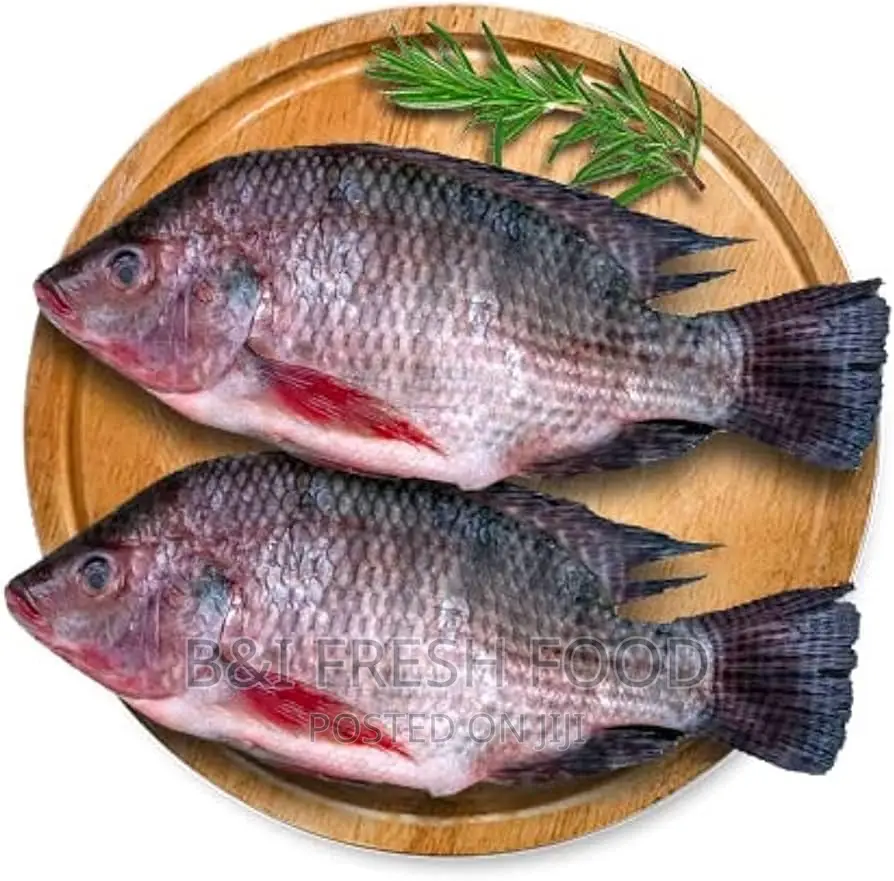 Tilapia Fresh Food Available