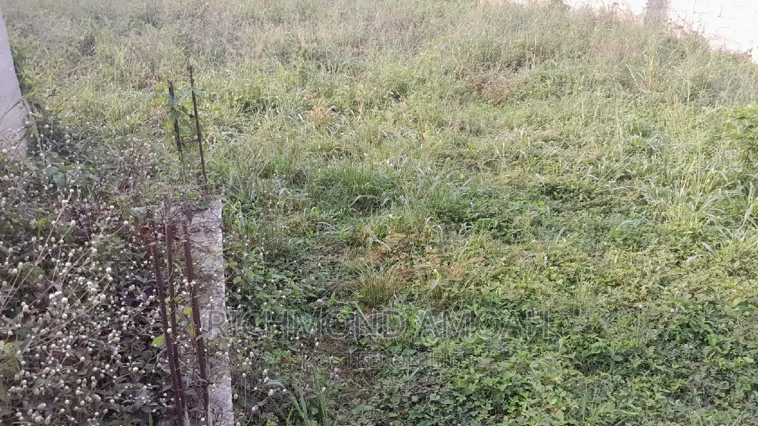 Plot for Sale at Race Course