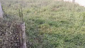 Plot for Sale at Race Course