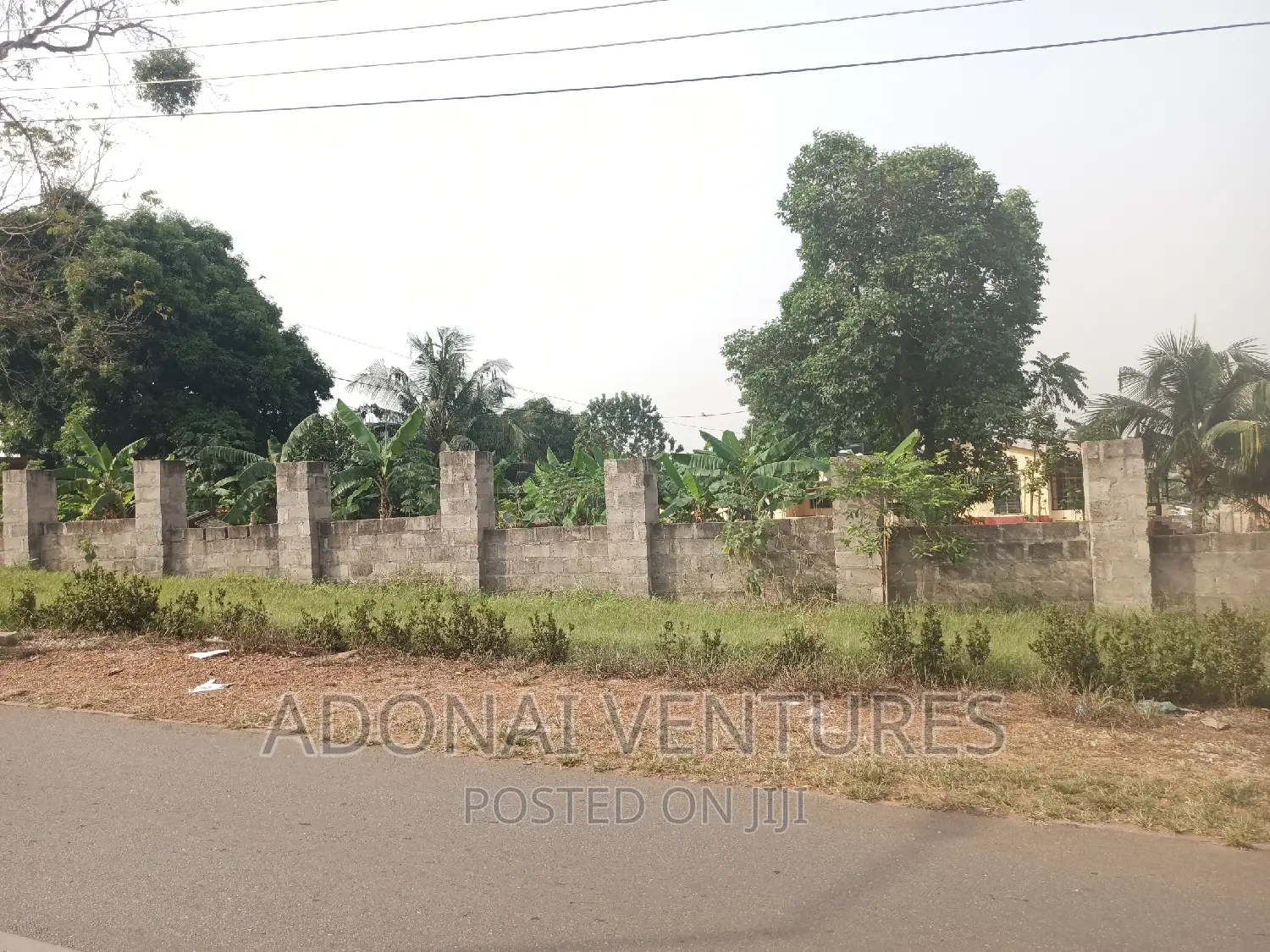 One Full Plot for Sale in Danyame