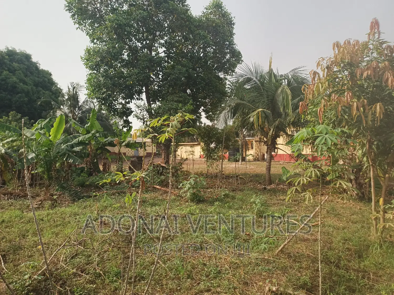One Full Plot for Sale in Danyame