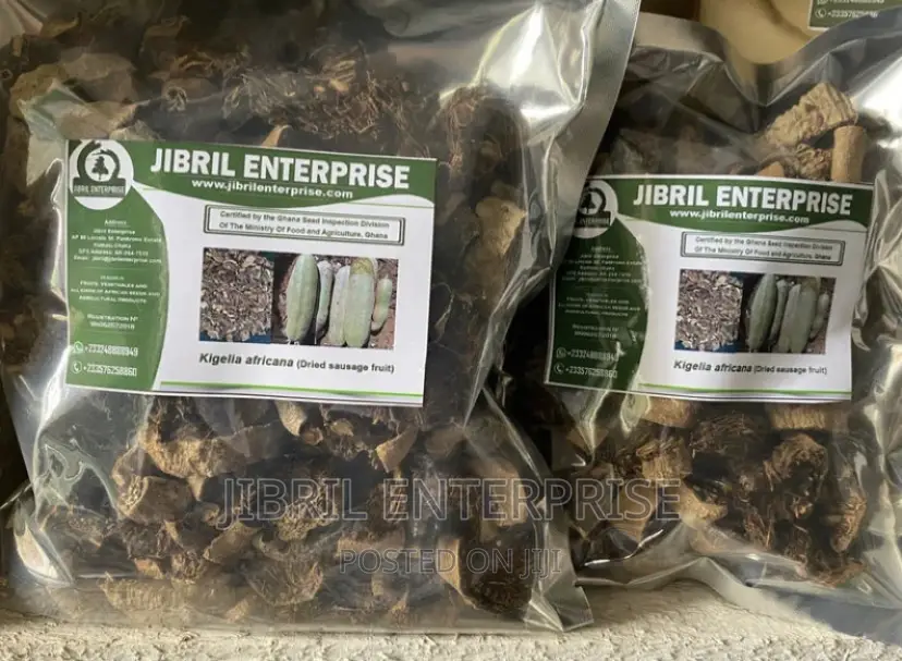 Dried Kigelia Africana Fruits, Dried Sausage Fruit
