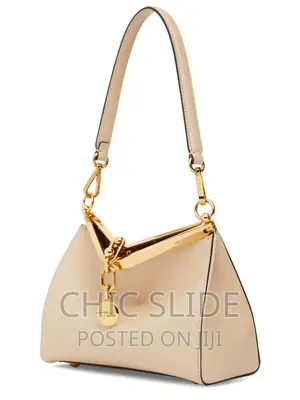 Photo - Ladies Latest Bag