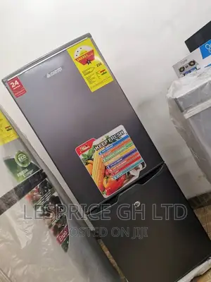 Chigo 126L Bottom Freezer Dual Fridge