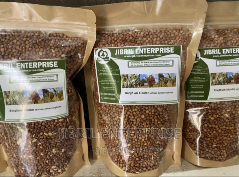 African Sweet Sorghum, (Sorghum Bicolor)