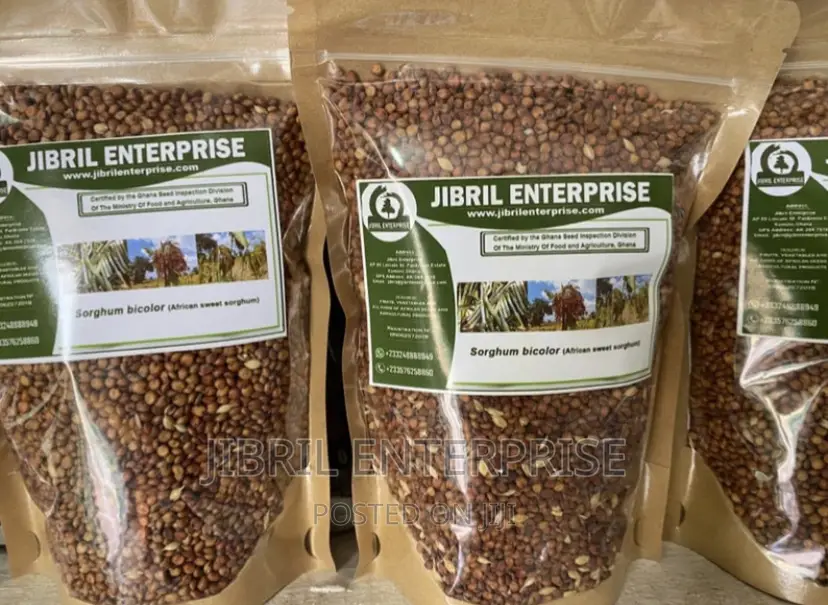 African Sweet Sorghum, (Sorghum Bicolor)