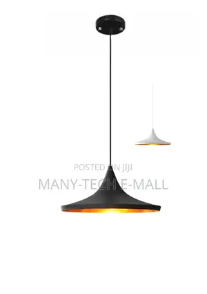Modern Single Pendant Lights.