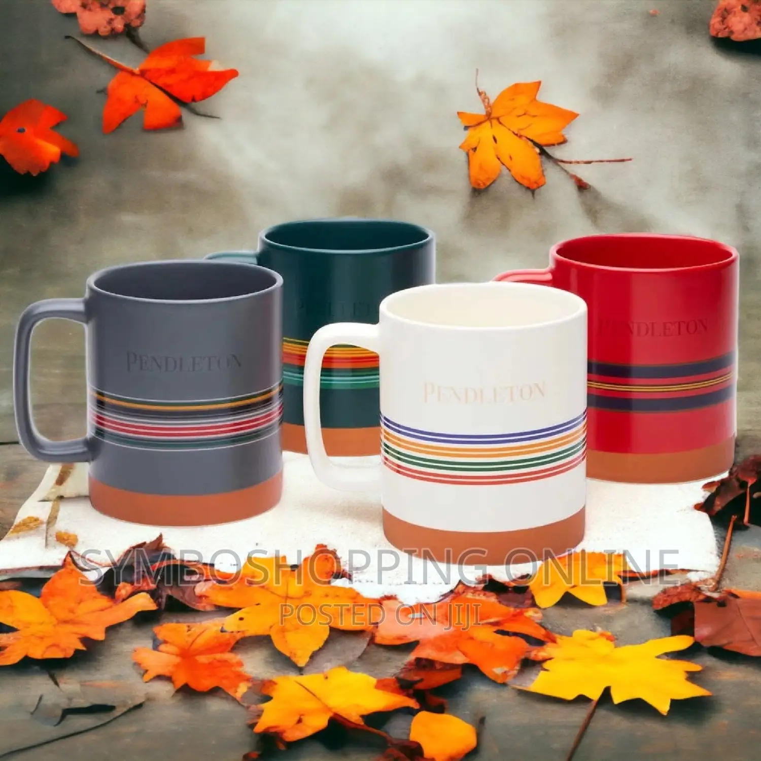 Pendleton Collectible Mugs, 4-Pack