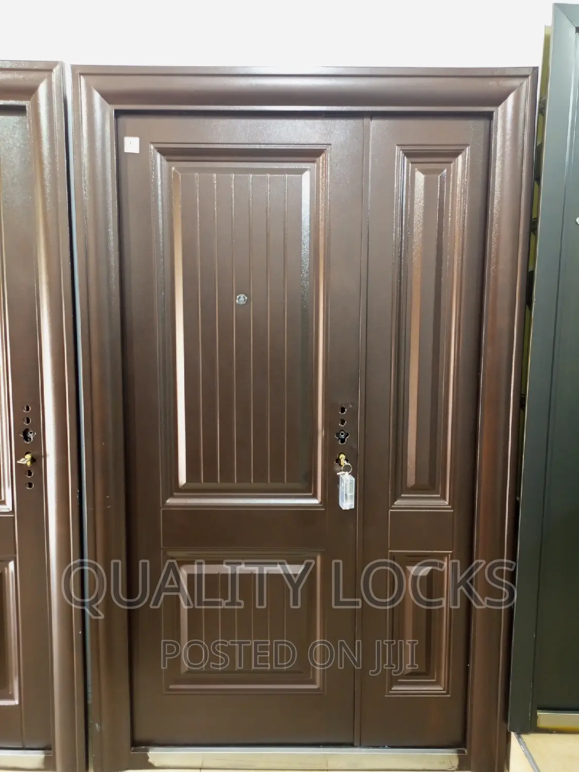 Modern Steel Security Door