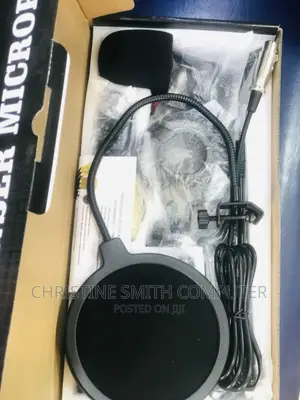 Professional Condenser Microphone
