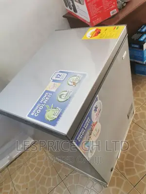 Nasco 145L Energy Saving Freezer