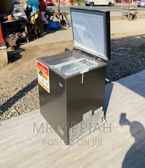 Latest and Affordable Zara 260s 1 Door Electric Freezer