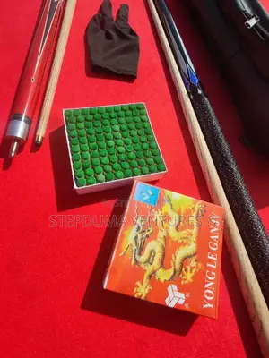 Snooker Stick With It's Bag and Glove