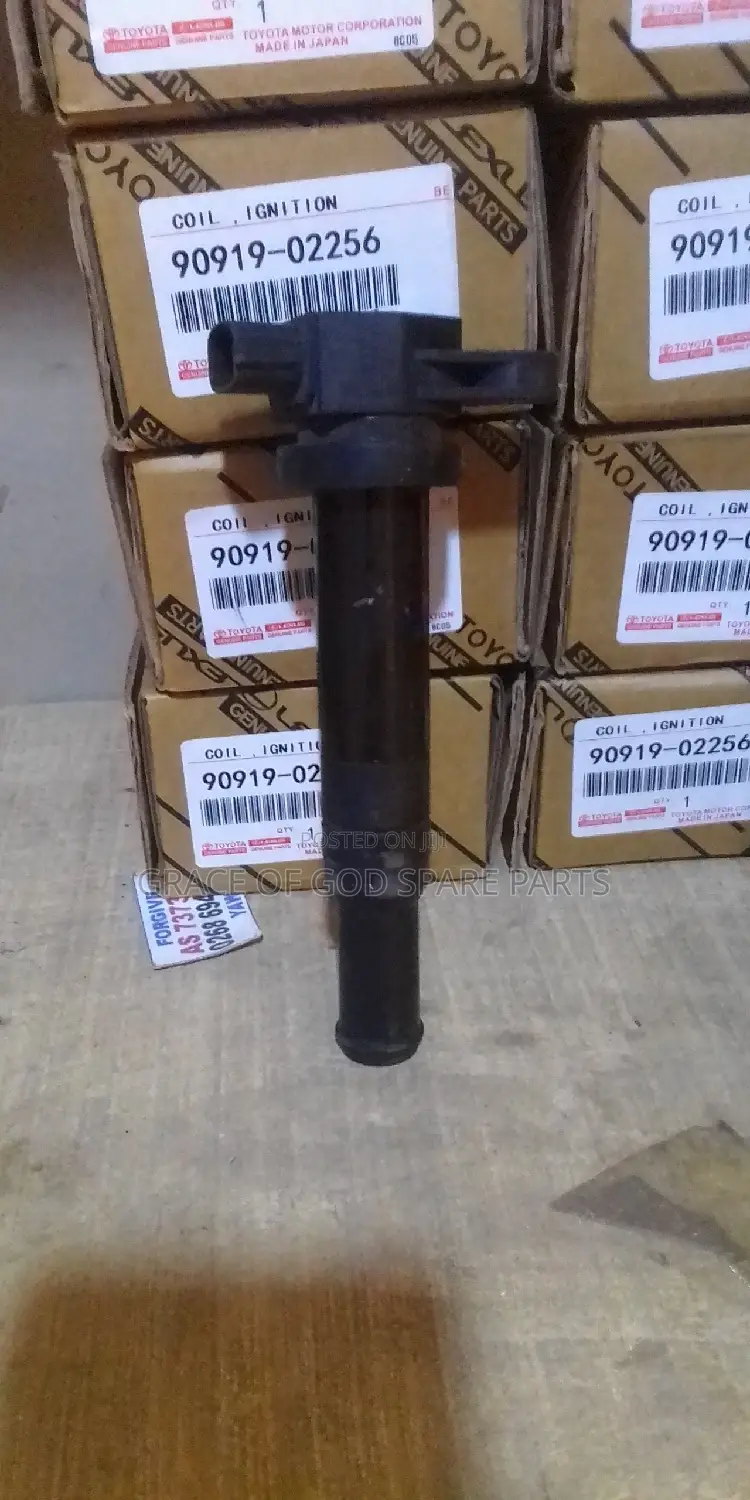 Hyundai Santafe 2007/2009 Kia Optima 2006/2010 Ignition Coi