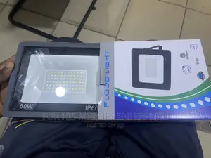 Flood Light