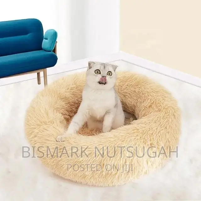 Pet Beds for Sale
