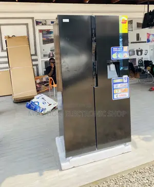 Unique Design Nasco Sideby Side Refrigerator Nassb2-64s,502L