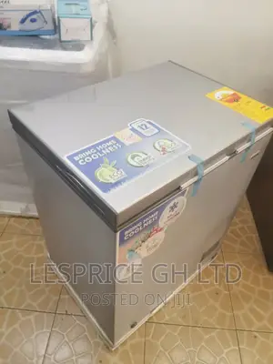 Nasco 145L Deep Freezing Freezer