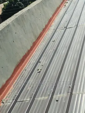 Roof Leakages Professional