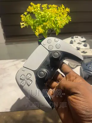 Home Used Ps5 Controller Perfectly Working