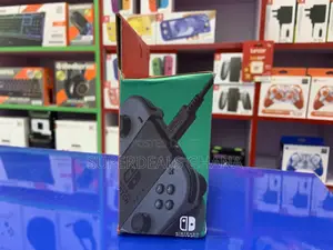 Nintendo Switch Joycon Charger