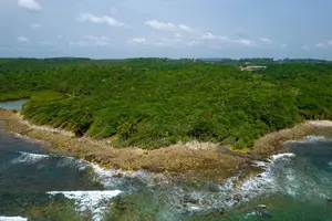 Western Region, (Dixcove) _ 20+ Acres Oceanfront Land