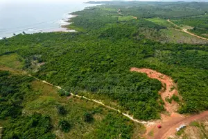 Western Region, (Dixcove) _ 20+ Acres Oceanfront Land