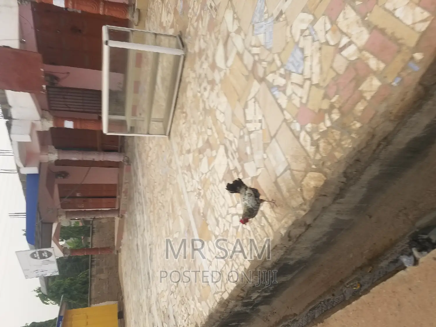 4shops for Sale at Kakraba KFC