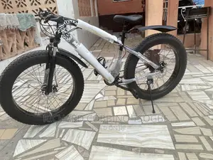 The Bike Master