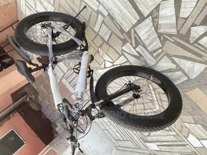 The Bike Master