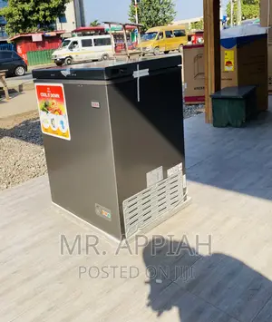 Latest and Affordable Zara 260 Single Door Electric Freezer