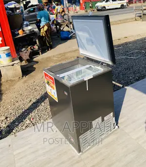 Fabulous Zara 260s Single Door Electric Freezer.