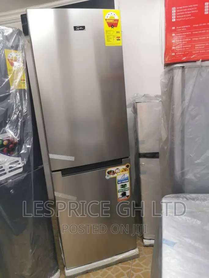 Stainless Signature 287L Double Door Fridge