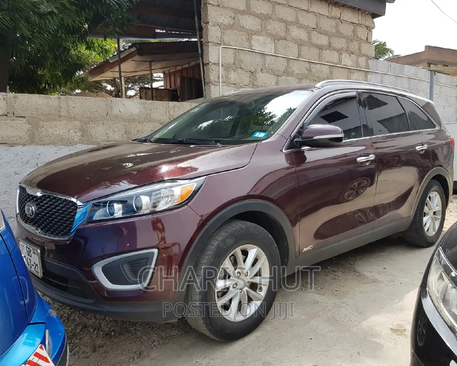 Car Sales and Rentals