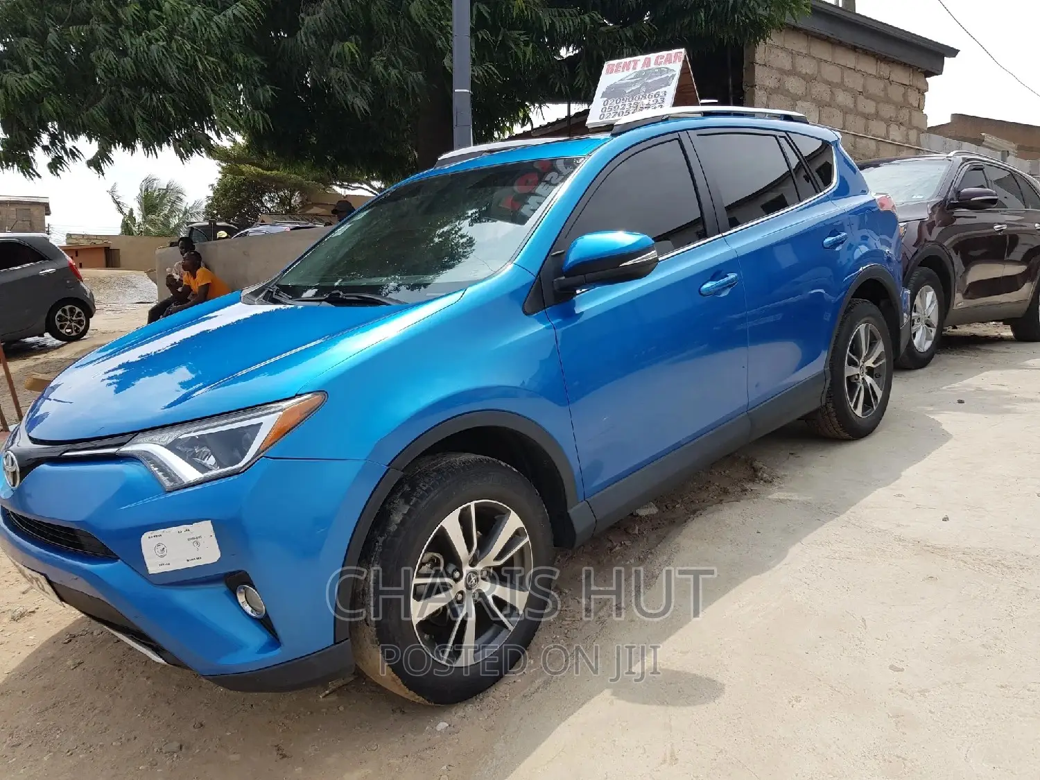 Car Sales and Rentals