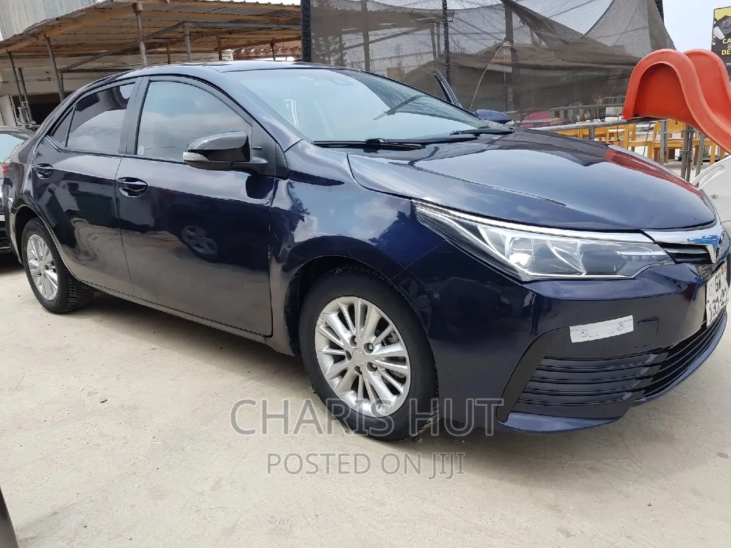 Car Sales and Rentals