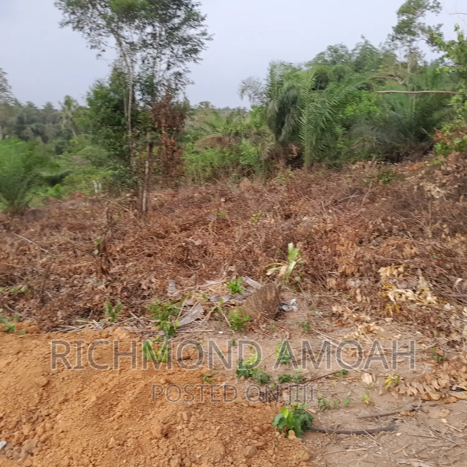 Plot for Sale at Manpong