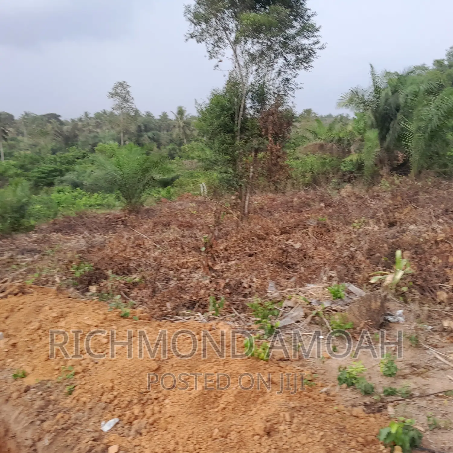 Plot for Sale at Manpong