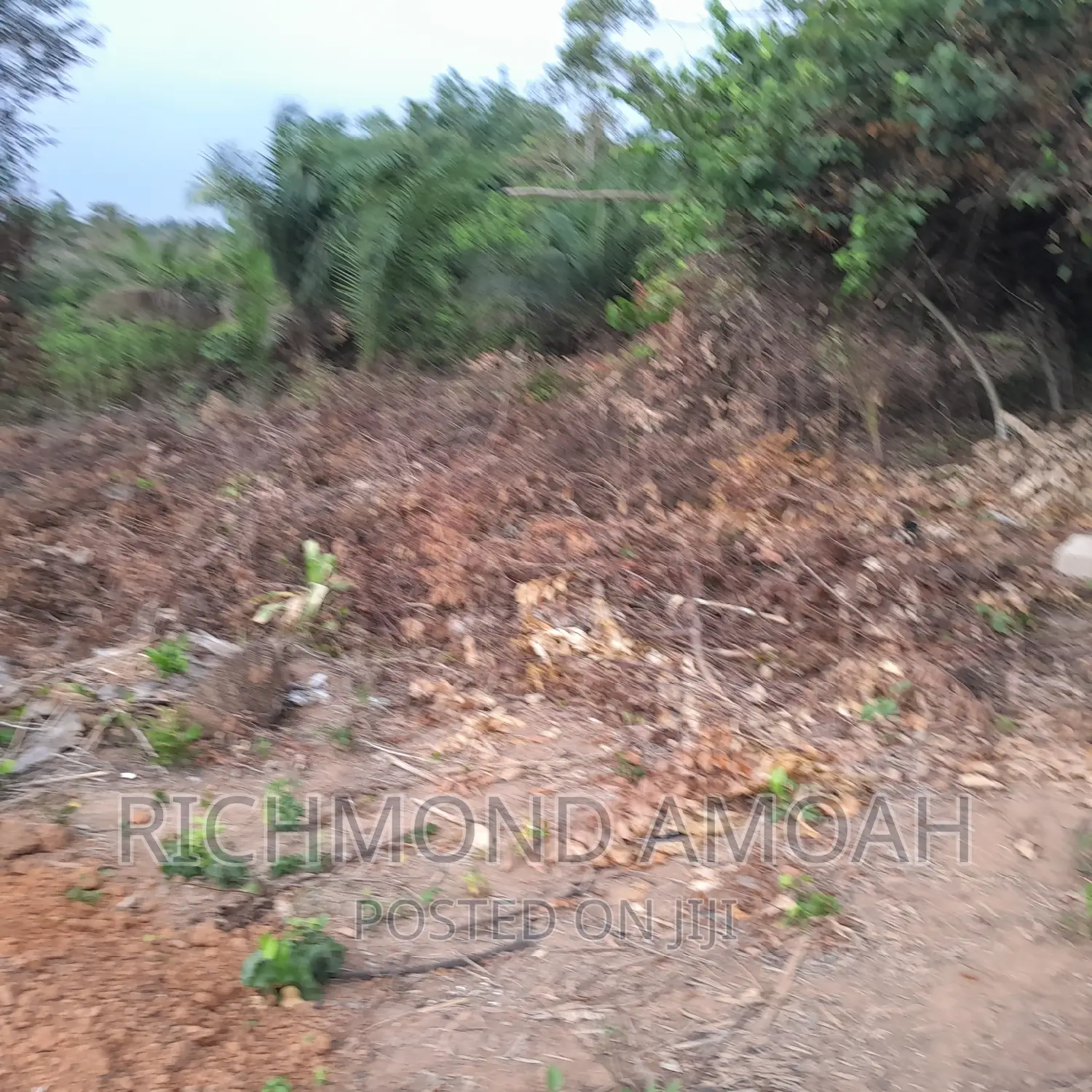 Plot for Sale at Manpong