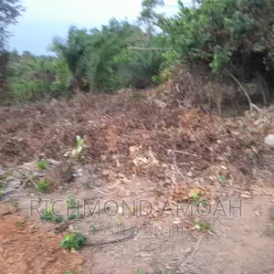 Plot for Sale at Manpong