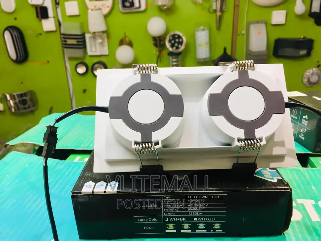 Zj 2X7W LED Down Light